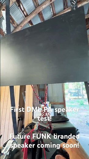 DML Panel speaker build.
