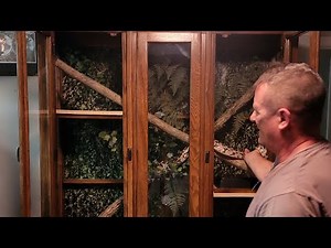 DIY China Hutch Snake Enclosure for Silent Bob our Sri Lankan Python