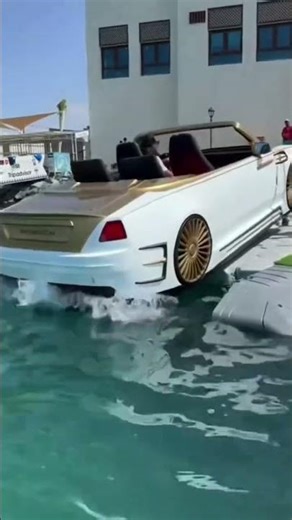 Text me on WhatsApp if you’re interested #+1 (445) 250-2512 duet #viral #socialmedia