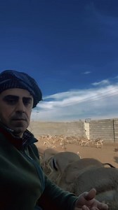 115K views · 5.1K reactions | Muhammad Nuri on Reels | Facebook