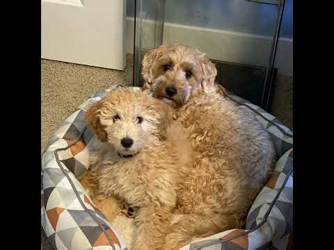 FFXIV Futures Rewritten (Ultimate) - 04/14/26