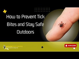 How to Prevent Tick Bites and Stay Safe Outdoors