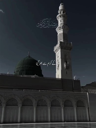 Expressions of Gratitude in Everyday Life