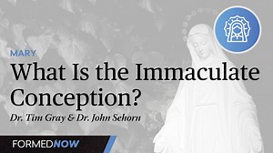 What Is the Immaculate Conception? - Season 1 - Formed