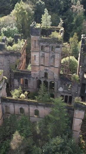 The abandoned Castle is one of the best examples of nature overtaking a place once people stop caring for it. You can even see trees growing from the roof. This place has only been deserted for a little over 20 years. #abandoned #urbexphotography | The Abandoned Project