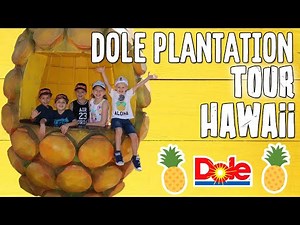 World's Largest Pineapple!!! Dole Plantation Hawaii