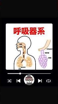 呼吸器系の全体像 #ゴロー #解剖生理学