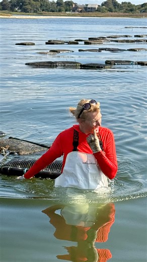 Long Island Oysters on Instagram: "Dropped off over 10,000 oysters in Oyster Bay this morning for a beautiful restoration project alongside Save the Bay, The Pew Foundation, The Nature Conservancy, Town of Oyster Bay, Stony Brook University, and the Long Island Oyster Growers Association. 🦪💙 Oysters are the cornerstone of a healthy bay, filtering water and creating habitat that sustains life below the surface. In the same way, mutual collaboration, passion, volunteering, and community are the