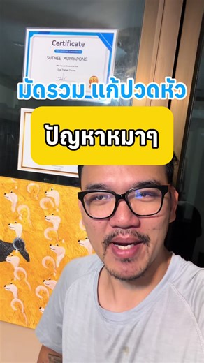 ปวดหัวจากหมา ทุกปัญหาแก้ง่ายนิดเดียว ลองทำตามดูได้ผลยังไงบอกด้วย #ฝึกหมา #หมาส่ายตูด #ศูนย์ฝึกสุนัข #ปรับพฤติกรรมหมา #หมาน่ารัก