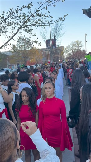 57K views · 1.2K reactions | The Alpha chapter of Delta Sigma Theta  | HBCUgrads | Facebook