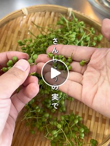 山椒の実を使った簡単しょうゆ漬けレシピ