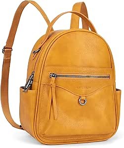 Mini Backpack Purse for Women Fashion Cute Small Travel Backpacks Daypacks Shoulder Handbag