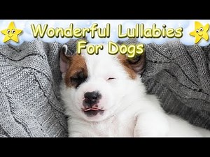 Magical Sleep Music For Dogs And Puppies ♫ Relax Your Dog Instantly