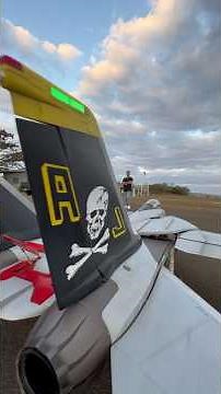 F-14 Skymaster 1:5.5 XXL