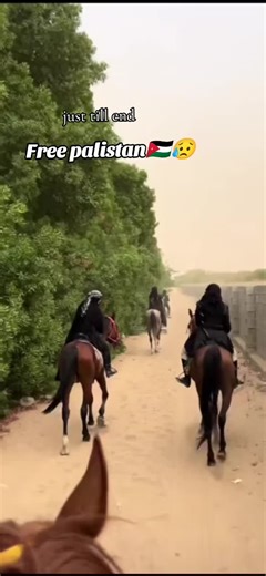 💞 Ziddi Typist🥀 (@vediosmaker)’s videos with original sound - user74589087268