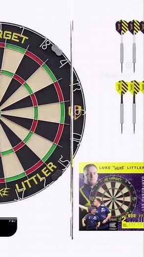 Target Professional Dartboards | Knight Shot UAE