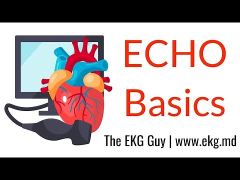ECHO Basics - ECHO Course l The EKG Guy - www.ekg.md