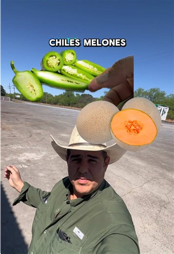 ¿Quieres producir más chile, melón o calabaza? Empieza por el suelo. El Poder de la Gallinaza Procesada Meyfer mejora la fertilidad, fortalece la planta y ayuda a lograr más producción y mejor calidad. En @VertiaFertilizanteCañonViajero para tu cultivo. 📩 Mándanos mensaje y te explicamos cómo usar El Poder de la Gallinaza Procesada. #ElPoderDeLaGallinazaProcesada #Meyfer #VertiaFertilizantes #AgriculturaRegenerativa #hortalizas