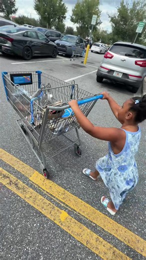groceries are just expensive everywheree huhhhh!😭😂🫶🏼 @Walmart #ugccreator #floridalife #orlandoflorida #momtok #vlog