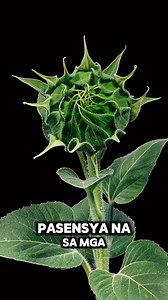 Jumar Escala on Reels