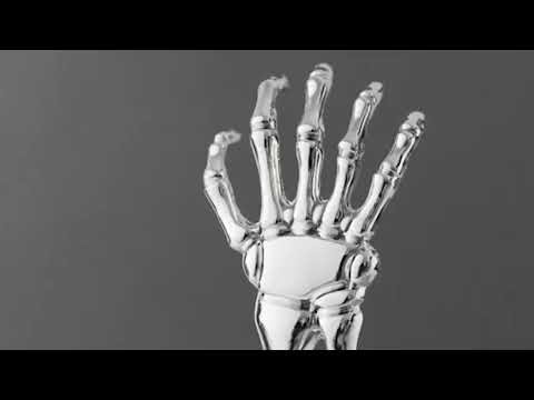 Portable Extendable Back Scratcher Stainless Steel Telescoping Back