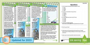 LKS2 Recycle Week Differentiated Reading Comprehension Activity