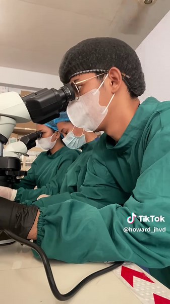 Understanding Semen Analysis in Clinical Microscopy