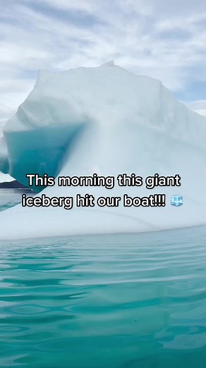 Iceberg Collision: A Marine Biologist's Encounter