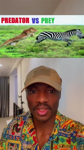 Survival Instincts: Navigating a Predatory Society