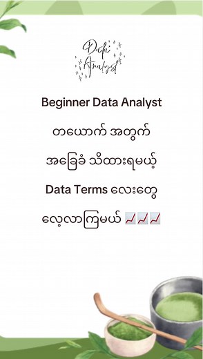 Beginner Data Analyst အတွက် အခြေခံ Data Terms လေ့လာမယ်
