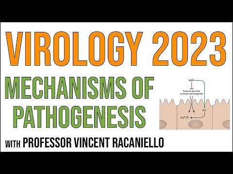 Virology Lectures 2023 #15: Mechanisms of pathogenesis