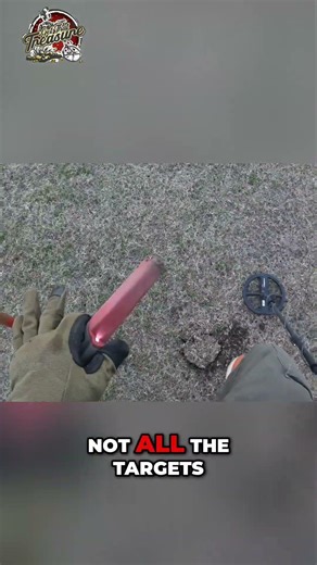 Finding Wheat Cents: This Detectorist Can't Stop! #shorts