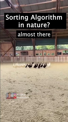 the ultimate confusion sort #coding #programming #dsa #python