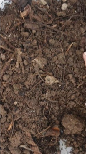 Preparing Kitchen waste compost #kitchenwaste #compost #preparation #kitchenwastecompost #ytshorts