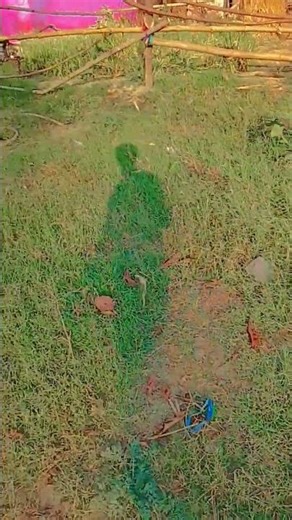 neeraj sir science | neeraj sir