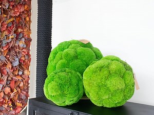 Preserved Pillow Moss Balls: Decorative Centerpiece Orbs - Etsy