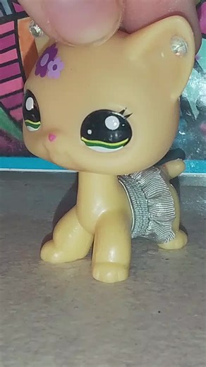 #duet @Crystal lps #amber