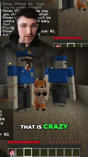 Minecraft Mobs With Jobs...