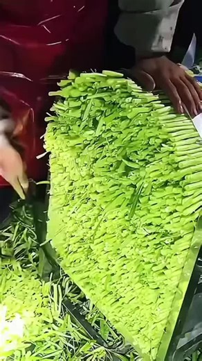 PART 1 - The bank teller passed me $5000 in cash and said, Just take it and leave.