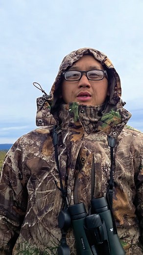 Moose update | NuttyNu