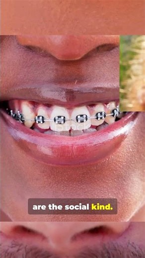 The Hidden Truth: 5 Facts About Human Behavior You Never Knew