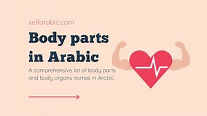 Body parts in Arabic. Comprehensive list - Selfarabic