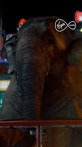 1.7K views | Gear up for non-stop entertainment all in one place. Switch to Virgin Media TV today. | Virgin Media | Facebook