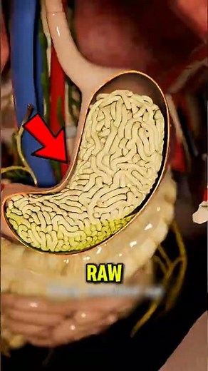 How Does Dry Ramen Affect Your Stomach?