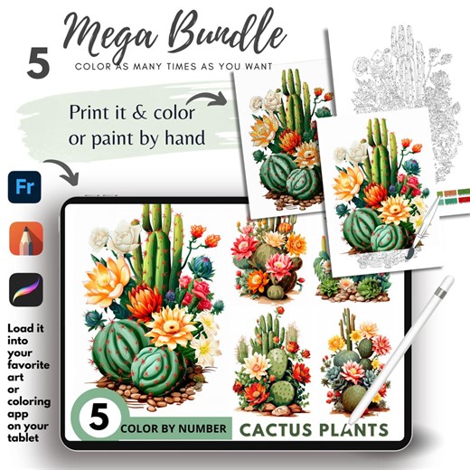 Cactus Plants Color by Number, Printable Pages (digital Download) 1583 - Etsy Australia