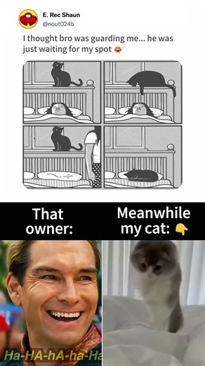 Not protection… just planning 💀