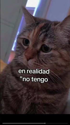 25 de julio de 2026