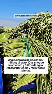 2M views · 30K reactions |  ¿Sabías que para mantener tus plantas...