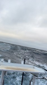 First local tuna charter for the year and we have started it off with a 6 way hook up 🎣🎣 #BluefinTuna #melbourne Fin Chaser Fishing Charters | Fin Chaser Fishing Charters
