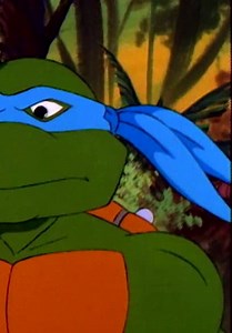 Teenage Mutant Ninja Turtles S08:E08 - Turtle Trek